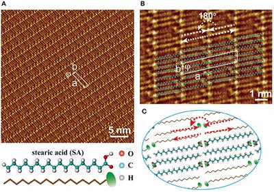 Fabrication of 2D Hetero-Complexes With Nucleic-Acid-Base Adenine and Fatty-Acid Stearic Acid at Liquid/Solid Interface